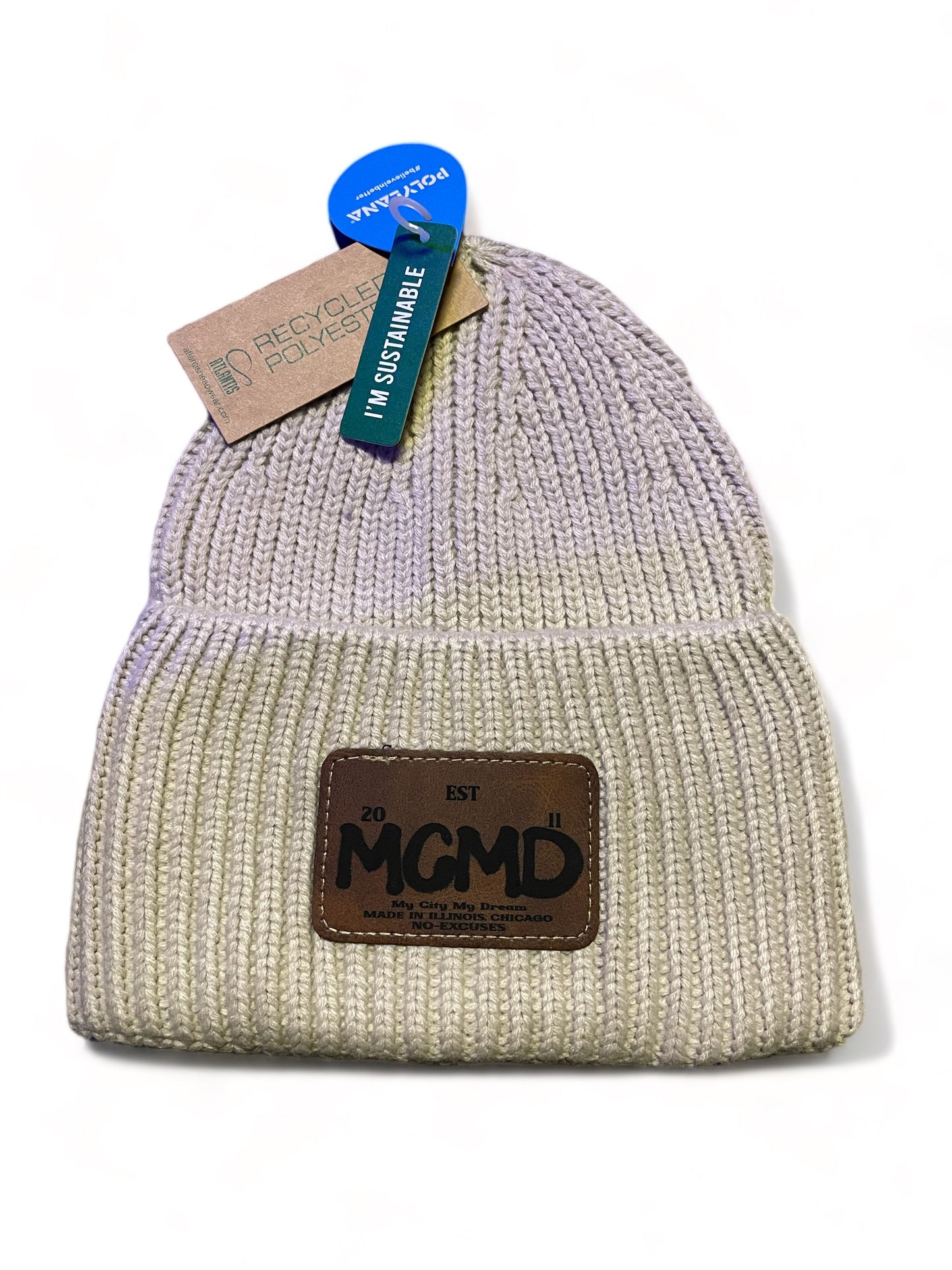 (Sustainable)Established Beanie (BUY 1 GET 1 %50 OFF)