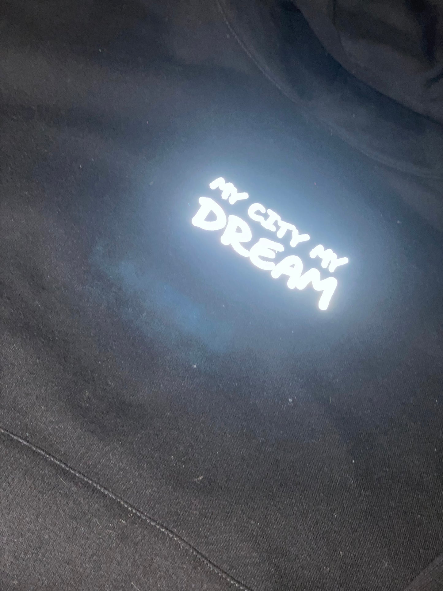 MY CITY MY DREAM REFLECTIVE HOODIE (oversized)